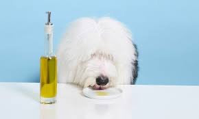 Pet Blend - Super Premium Extra Virgin Olive Oil